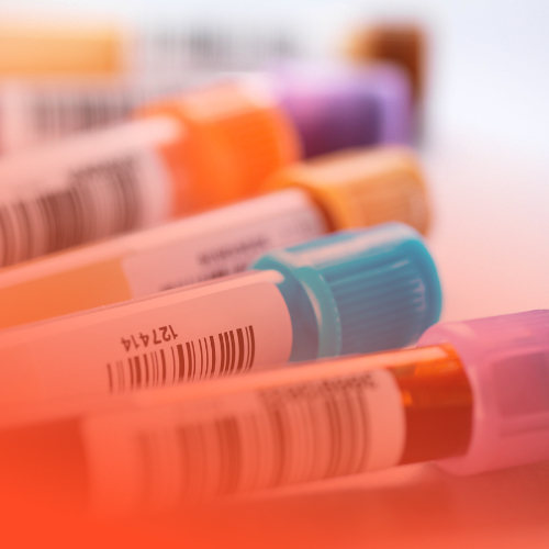 ISO certification consulting services illustration